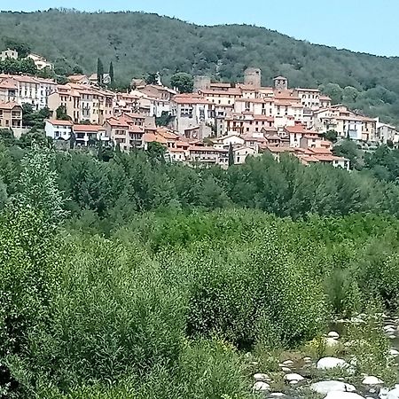Studio Renove Vue Montagne Amélie-les-Bains-Palalda Eksteriør billede
