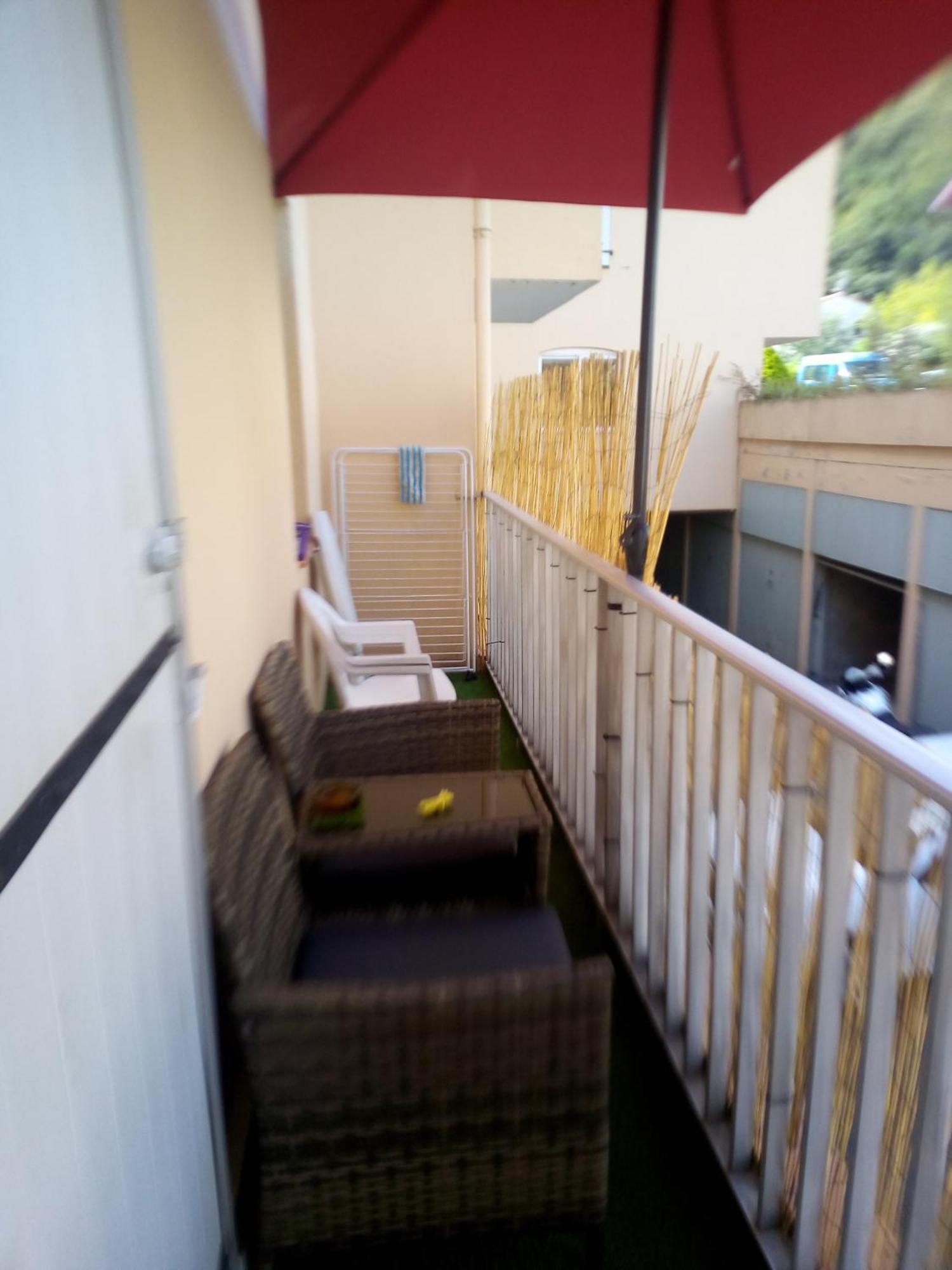 Studio Renove Vue Montagne Amélie-les-Bains-Palalda Eksteriør billede