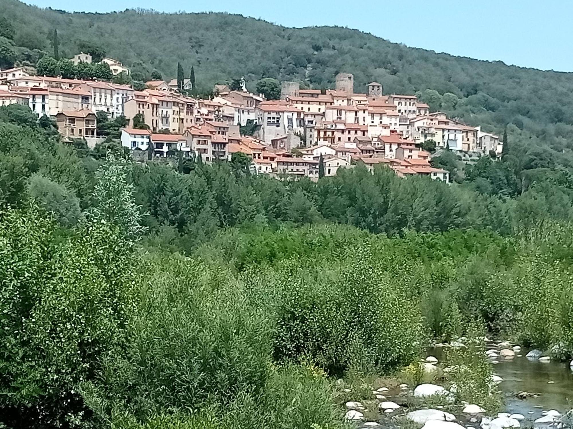 Studio Renove Vue Montagne Amélie-les-Bains-Palalda Eksteriør billede