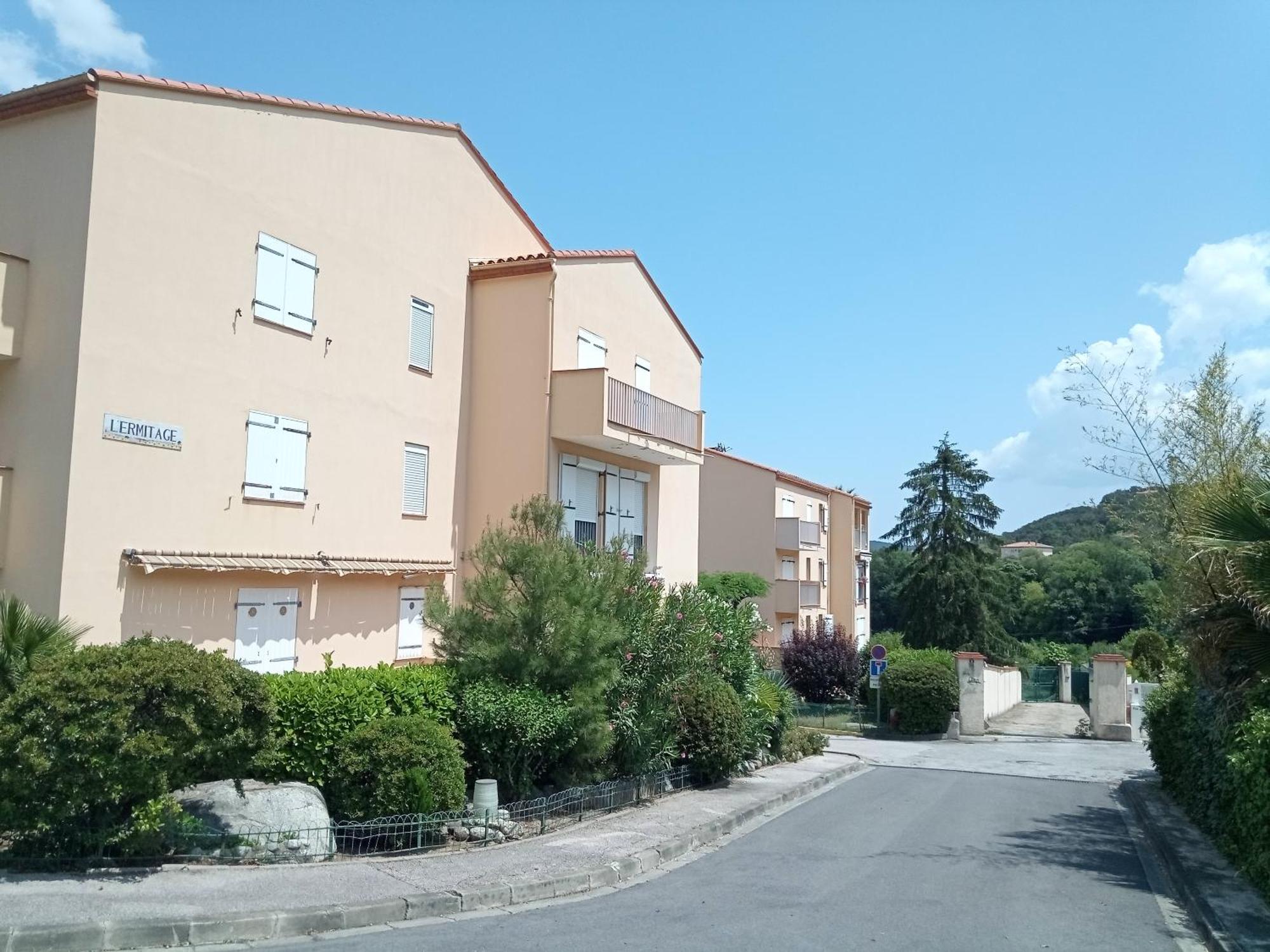 Studio Renove Vue Montagne Amélie-les-Bains-Palalda Eksteriør billede