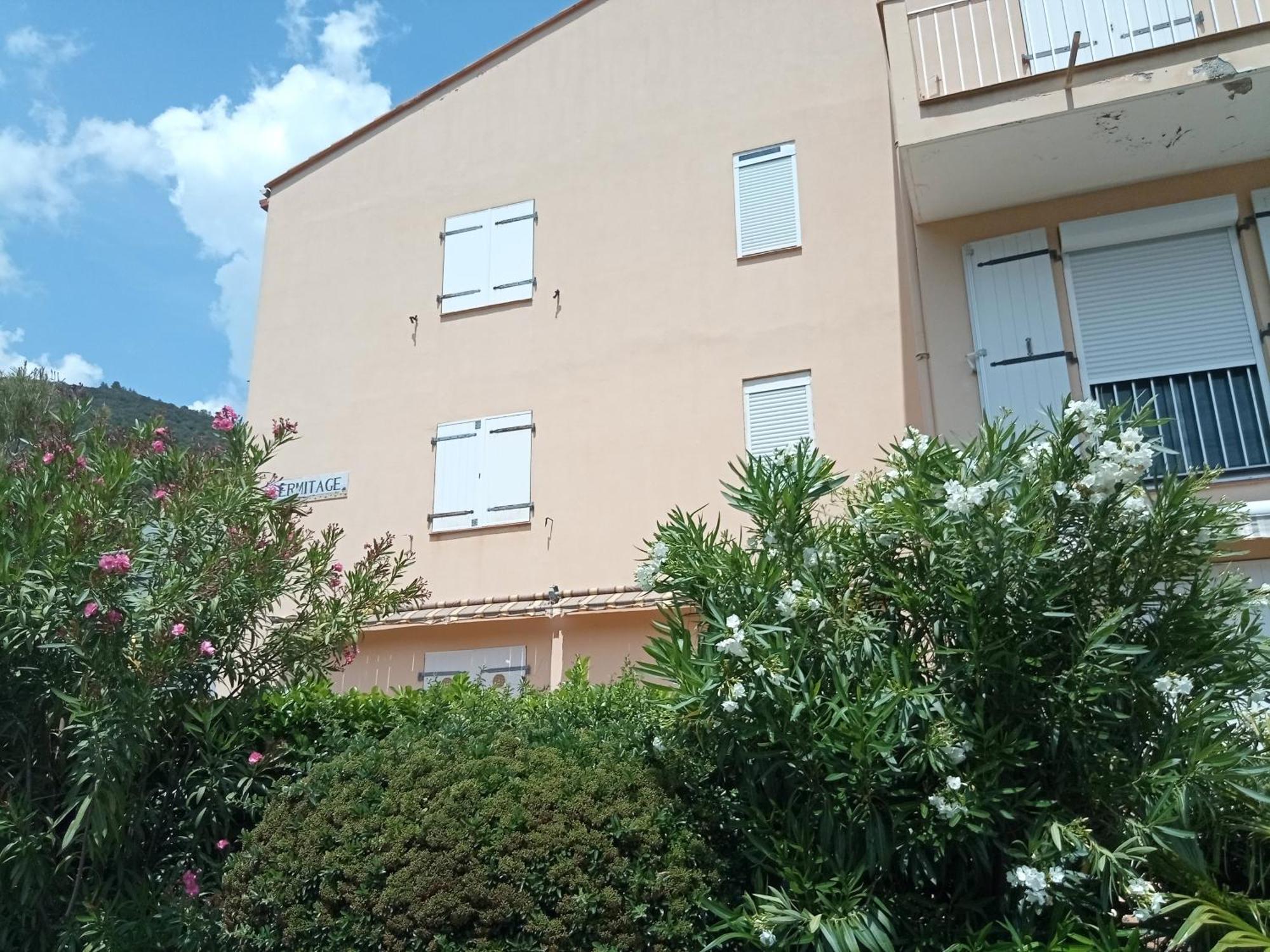 Studio Renove Vue Montagne Amélie-les-Bains-Palalda Eksteriør billede