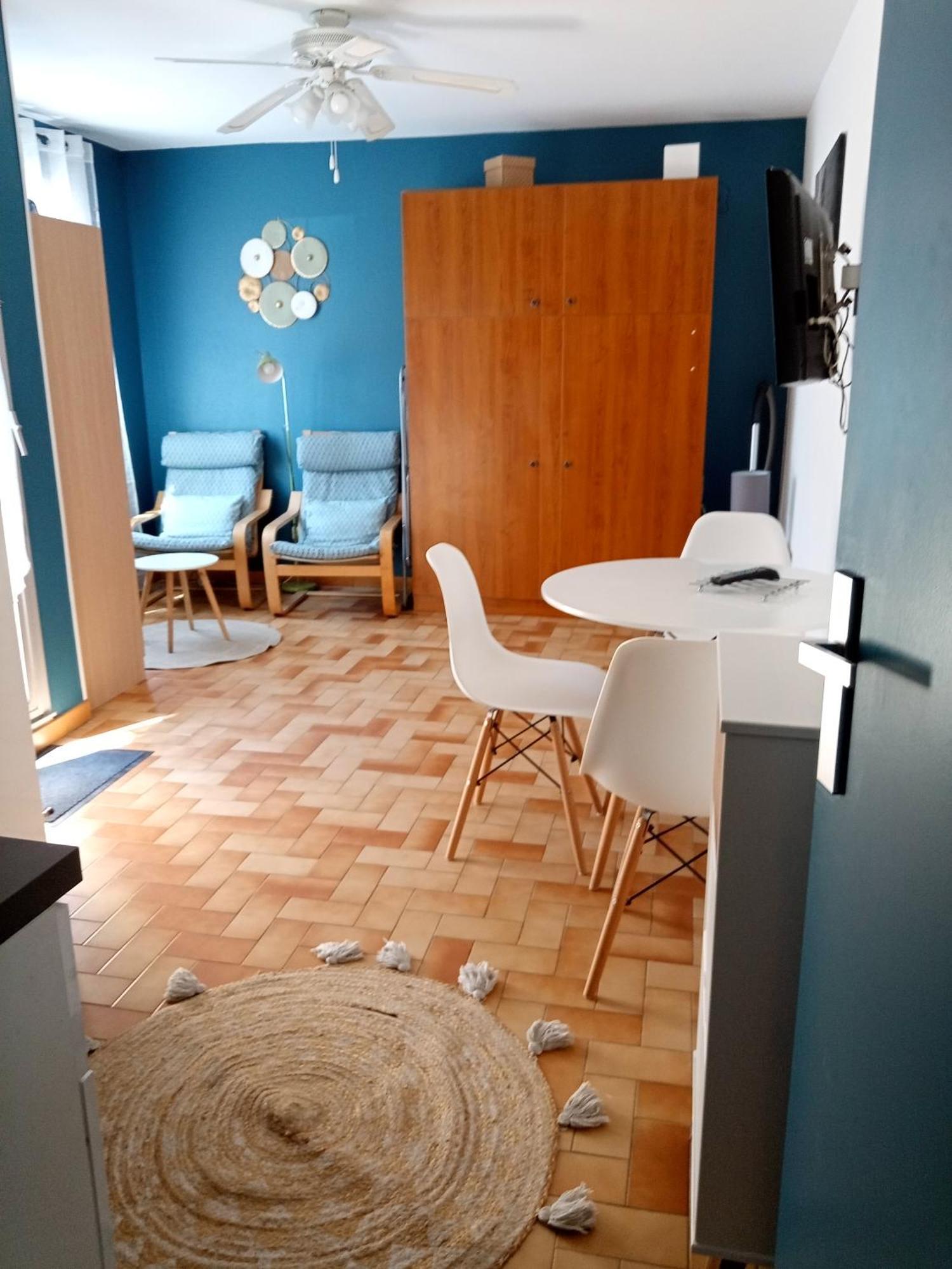 Studio Renove Vue Montagne Amélie-les-Bains-Palalda Eksteriør billede